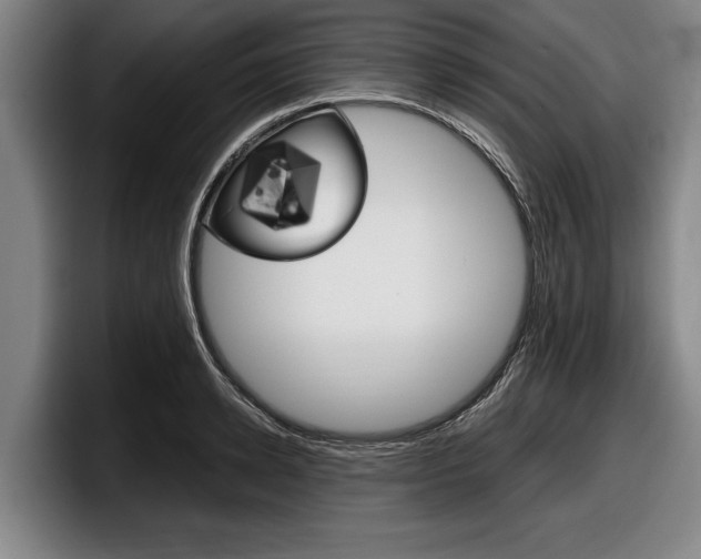 X0000098000942200803241039
