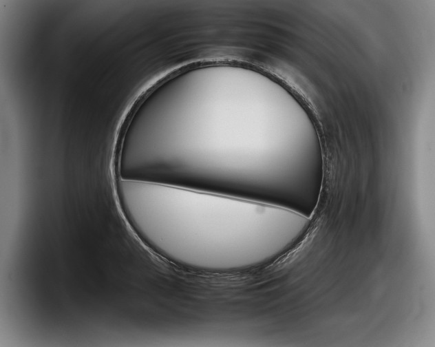 X0000098000943200803241039