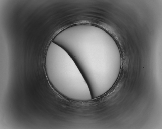 X0000098000945200803241039