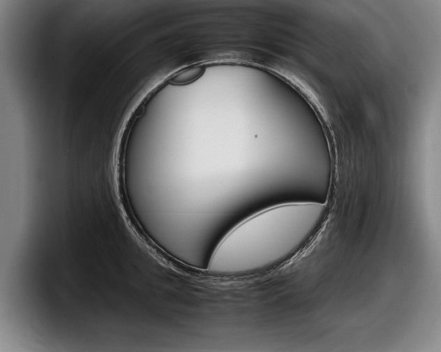 X0000098000949200803241039