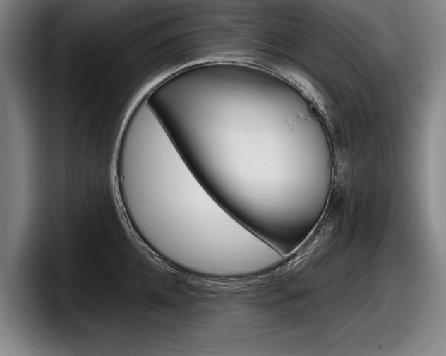 X0000098000952200803241039