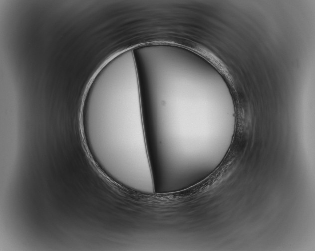 X0000098000955200803241039