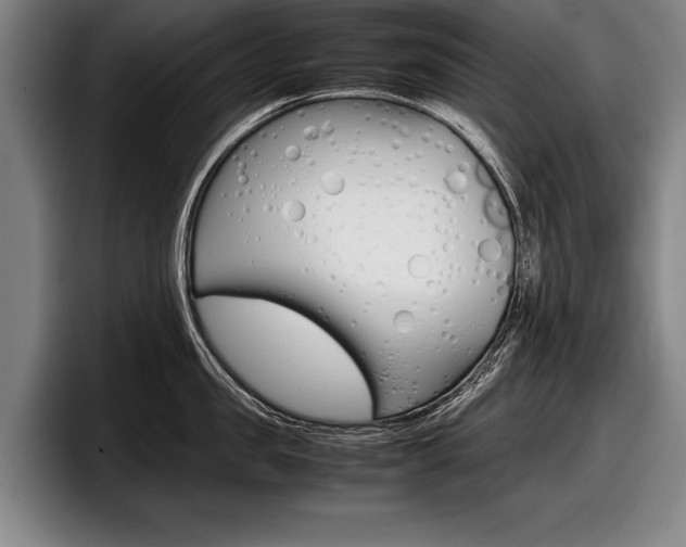 X0000098000957200803241039