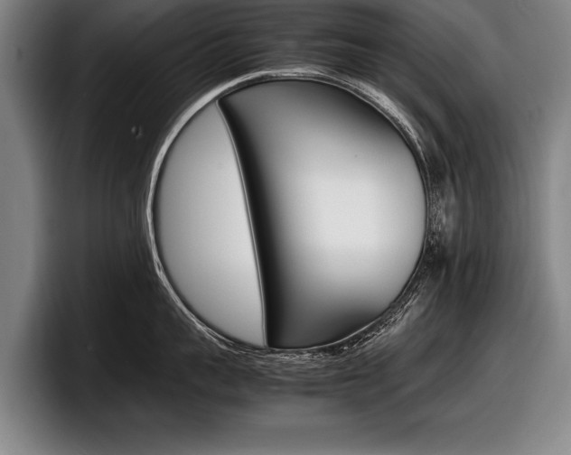 X0000098000959200803241039
