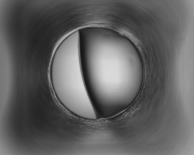 X0000098000960200803241039
