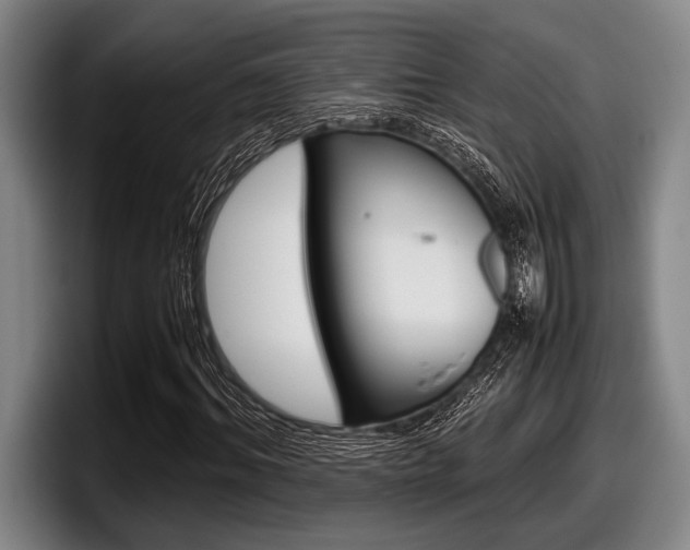 X0000098000964200803241038