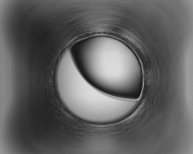 X0000098000969200803241038