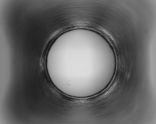 X0000098000970200803241038