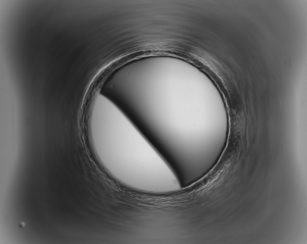 X0000098000971200803241038