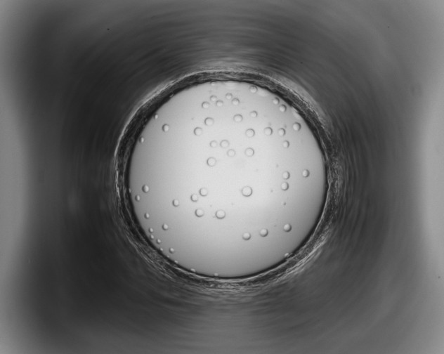 X0000098000974200803241038
