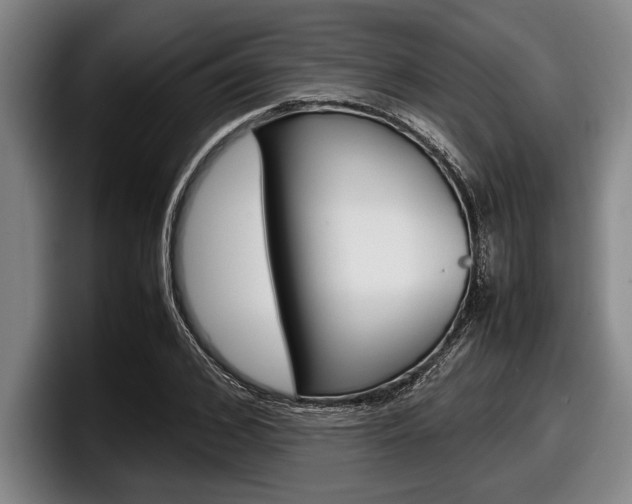 X0000098000976200803241038