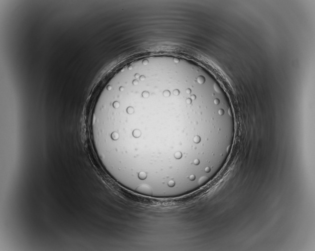 X0000098000978200803241038