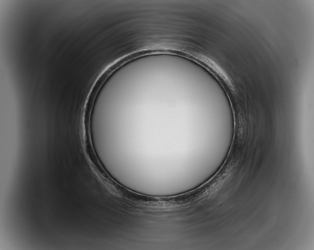 X0000098000980200803241038
