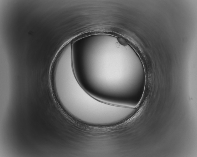 X0000098000981200803241038