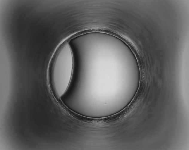 X0000098000983200803241038