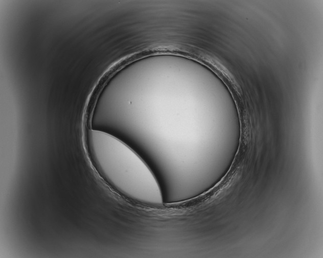 X0000098000984200803241038