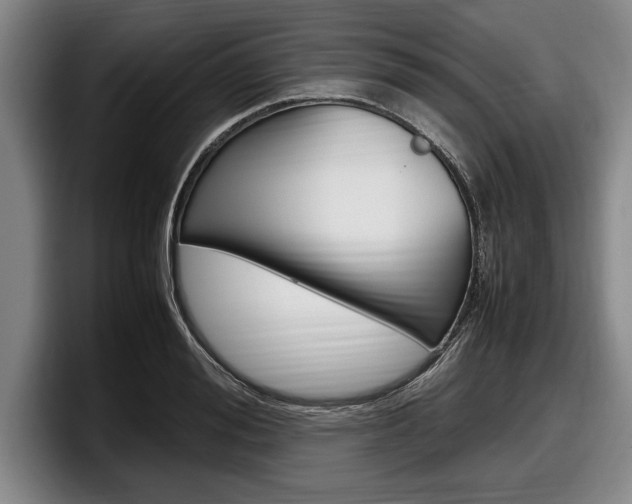 X0000098000988200803241038