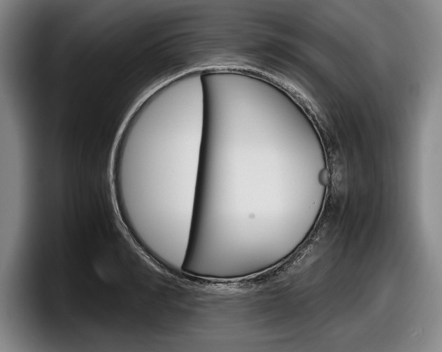 X0000098000990200803241038