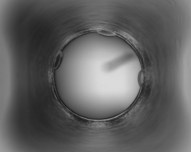 X0000098000993200803241038