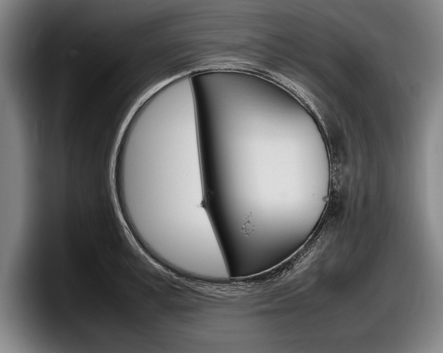 X0000098000995200803241038