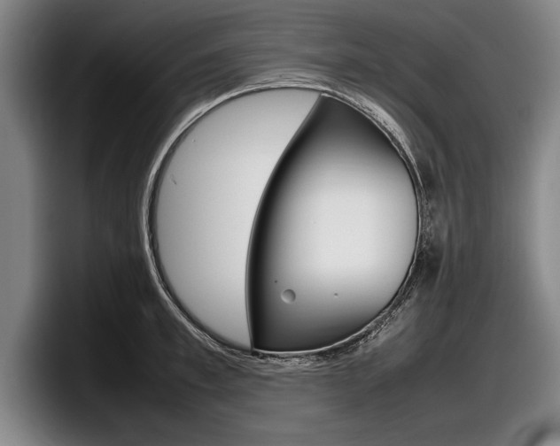 X0000098000997200803241038