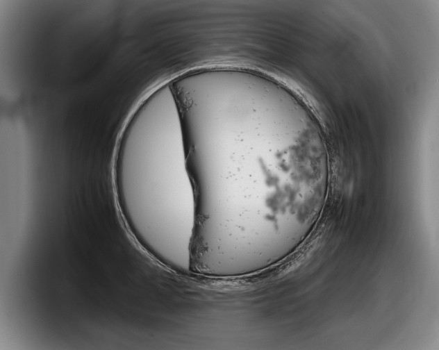 X0000098000998200803241038