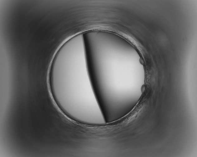 X0000098000999200803241038