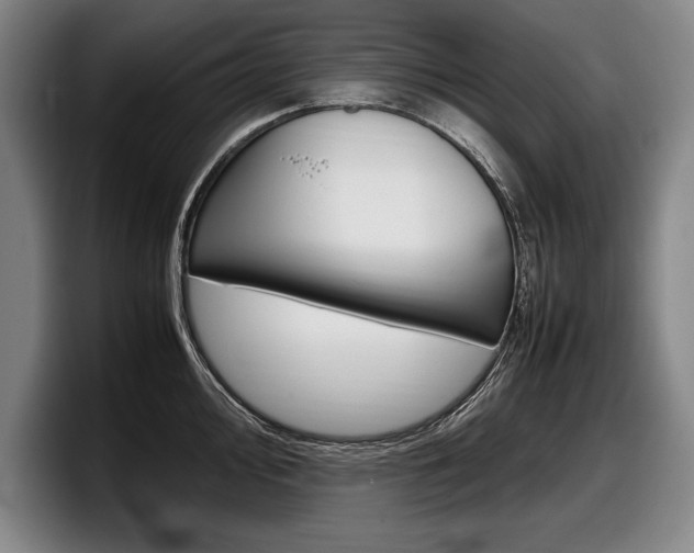 X0000098001000200803241038