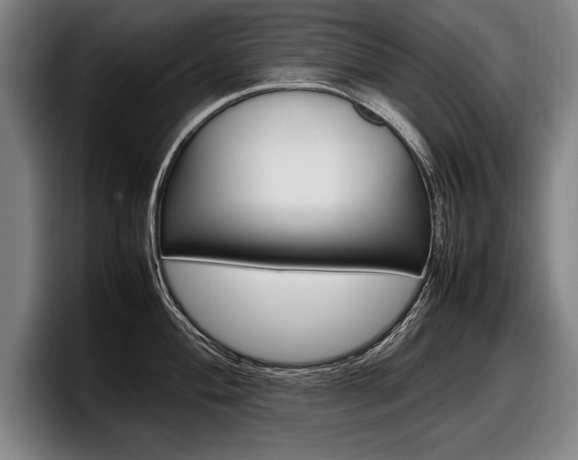 X0000098001004200803241038