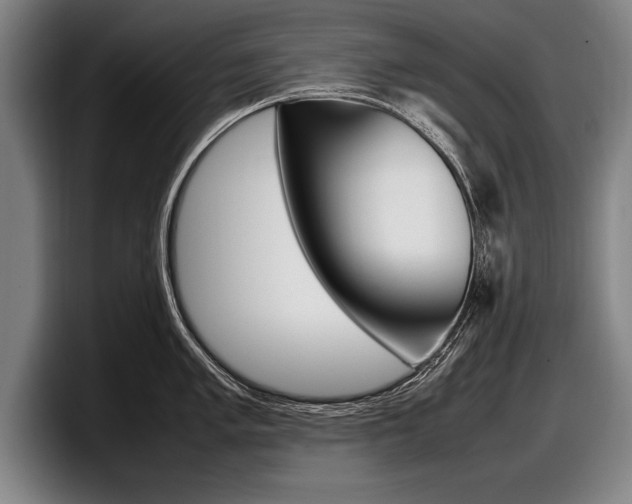 X0000098001005200803241038