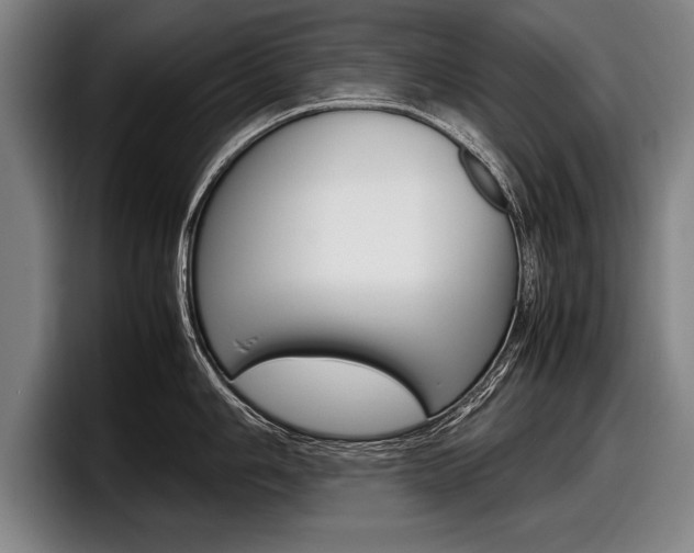 X0000098001006200803241038