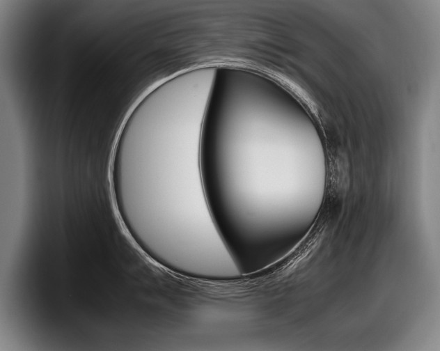 X0000098001007200803241038
