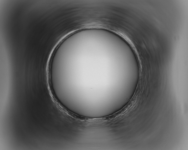 X0000098001008200803241038