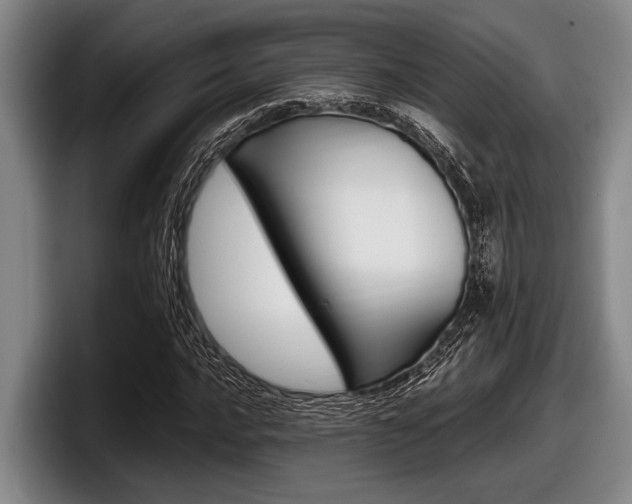 X0000098001016200803241037