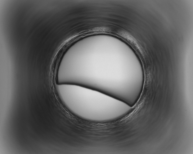X0000098001019200803241037