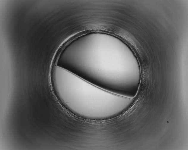 X0000098001020200803241037