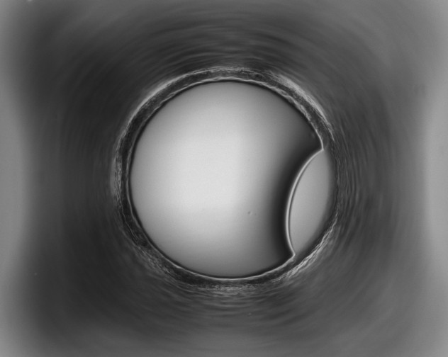 X0000098001021200803241037
