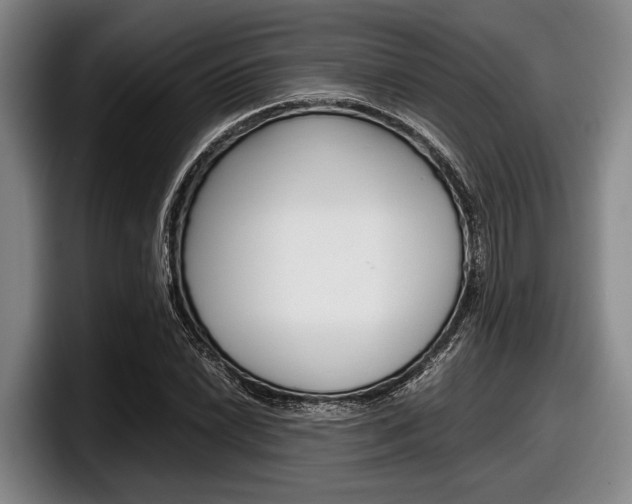X0000098001022200803241037