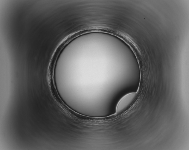 X0000098001024200803241037