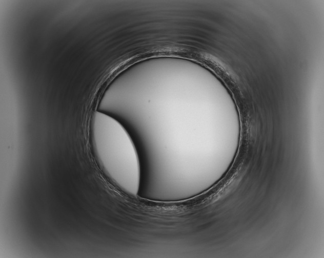 X0000098001025200803241037