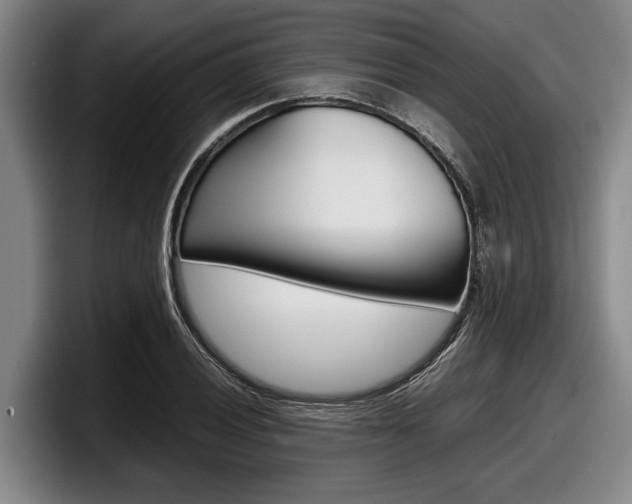 X0000098001028200803241037
