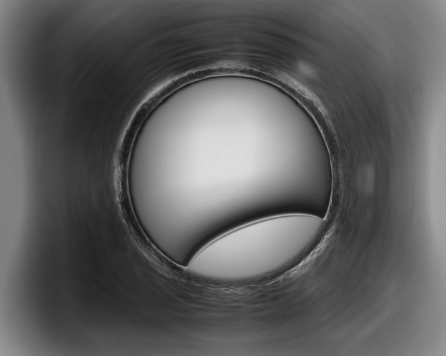 X0000098001029200803241037