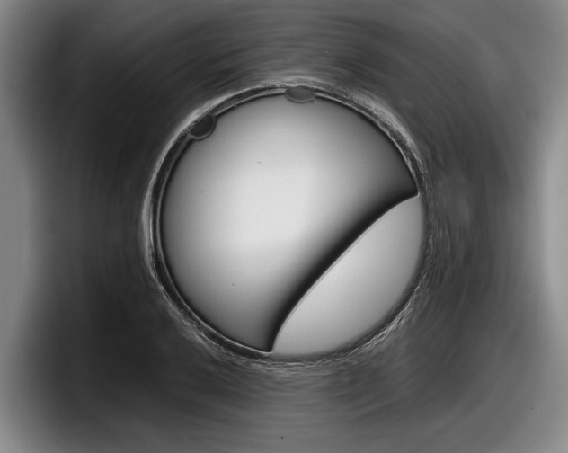 X0000098001032200803241037