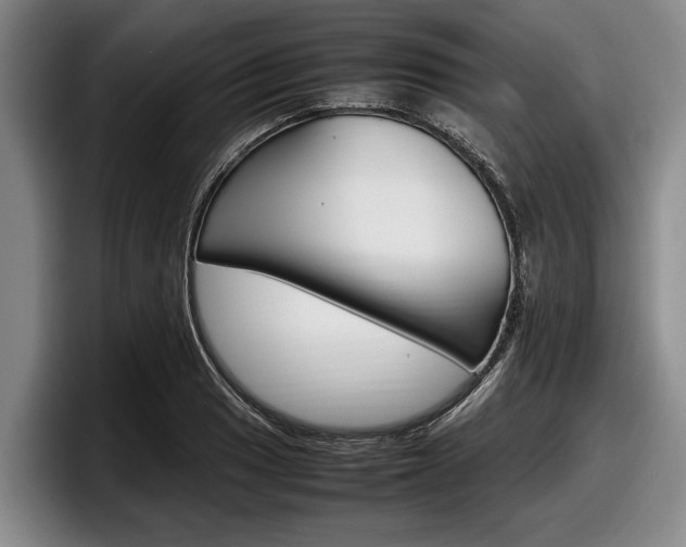 X0000098001033200803241037