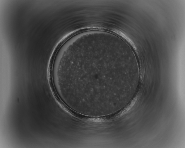 X0000098001037200803241037