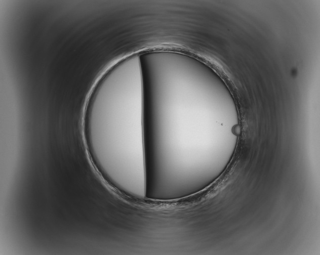 X0000098001038200803241037