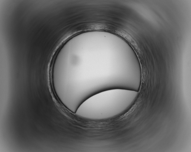 X0000098001039200803241037