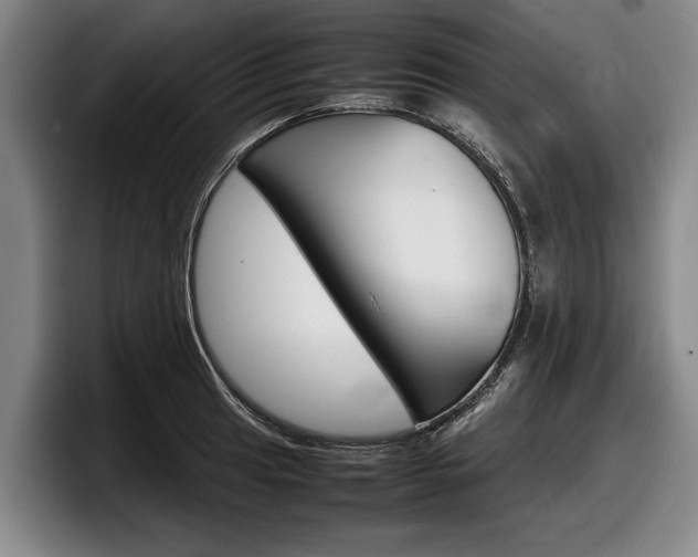 X0000098001041200803241037
