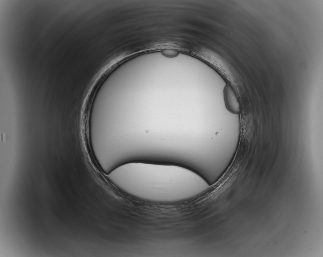 X0000098001043200803241037