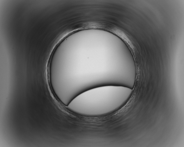X0000098001047200803241038